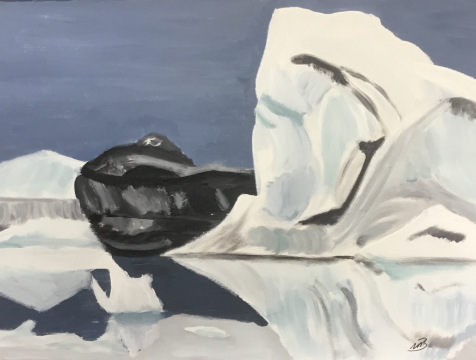 34 Jökullálón Island